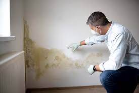 Why You Should Choose Our Mold Remediation Services in Washburn, WI